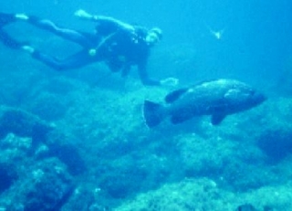  buceo en Var 